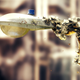 Illustration for article titled Concrete-Printing Bees And Other Living 3D Printers